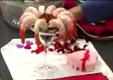 Shrimp Cocktail